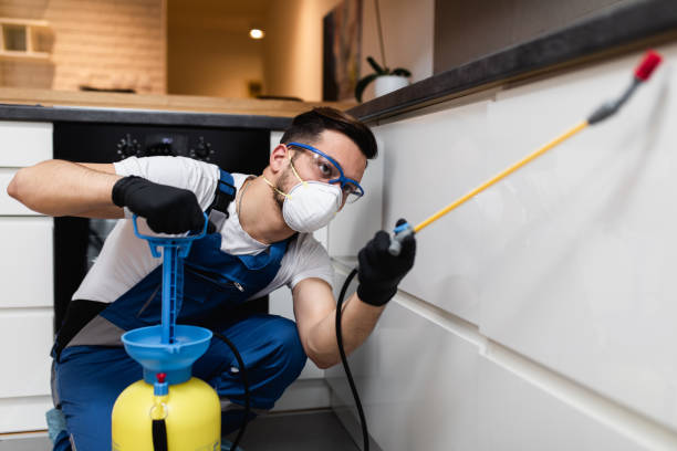 Best Affordable Pest Control Services  in Madison Heights, MI