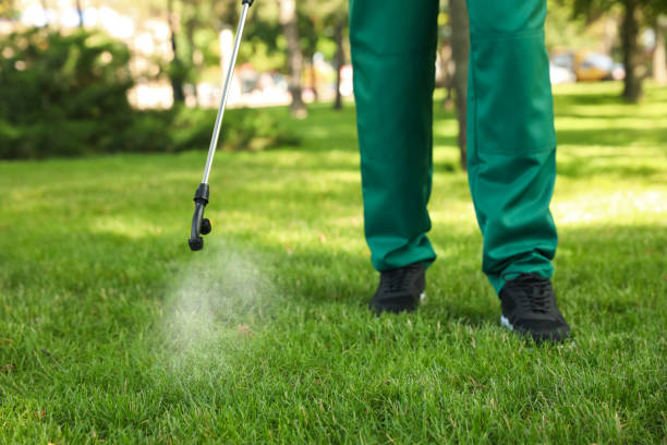 Best Flea Control Services  in Madison Heights, MI
