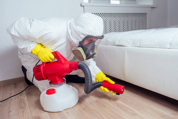 Best Mosquito Control Services  in Madison Heights, MI